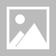 全国团体赛贵州女队提前升甲 男子乙组战况胶着