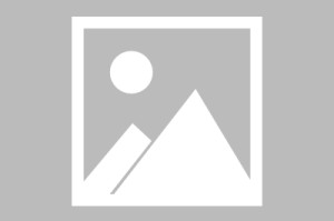 全国团体赛贵州女队提前升甲 男子乙组战况胶着